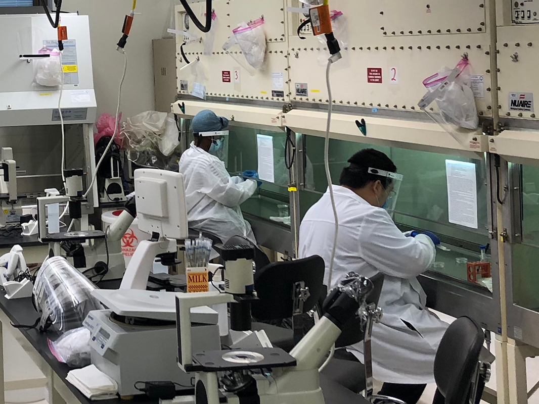 BMB 490 students Ofure Akhigbe and Xianzhen Zhou learn cell culture.