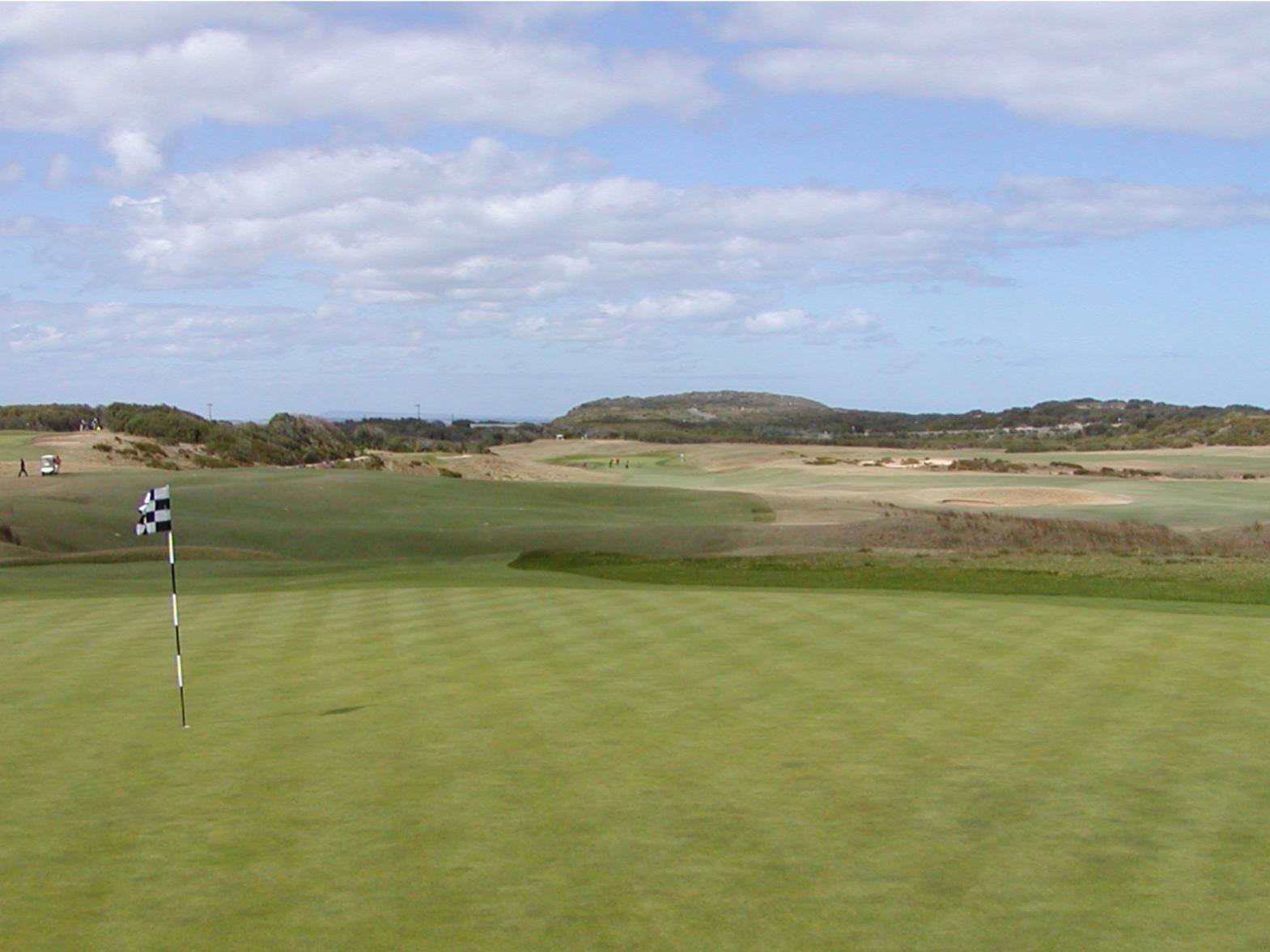 Poa annual green