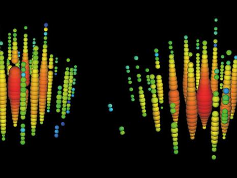 two  neutrinos
