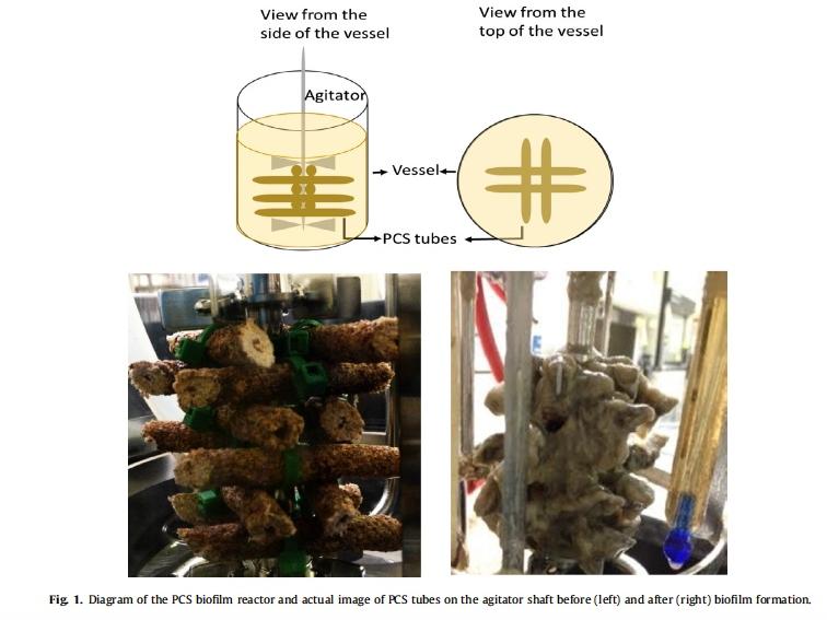 biofilm reactor tube