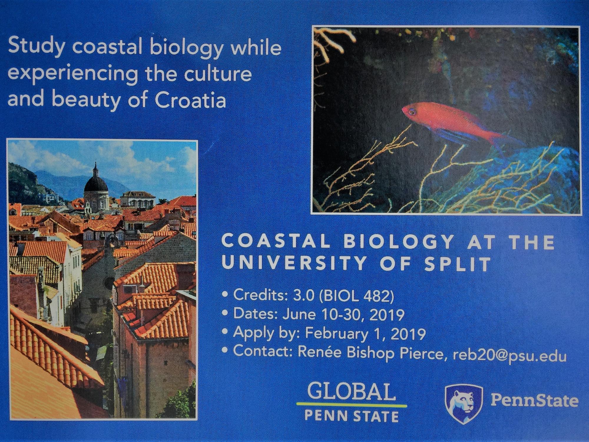 croatian village and study abroad info