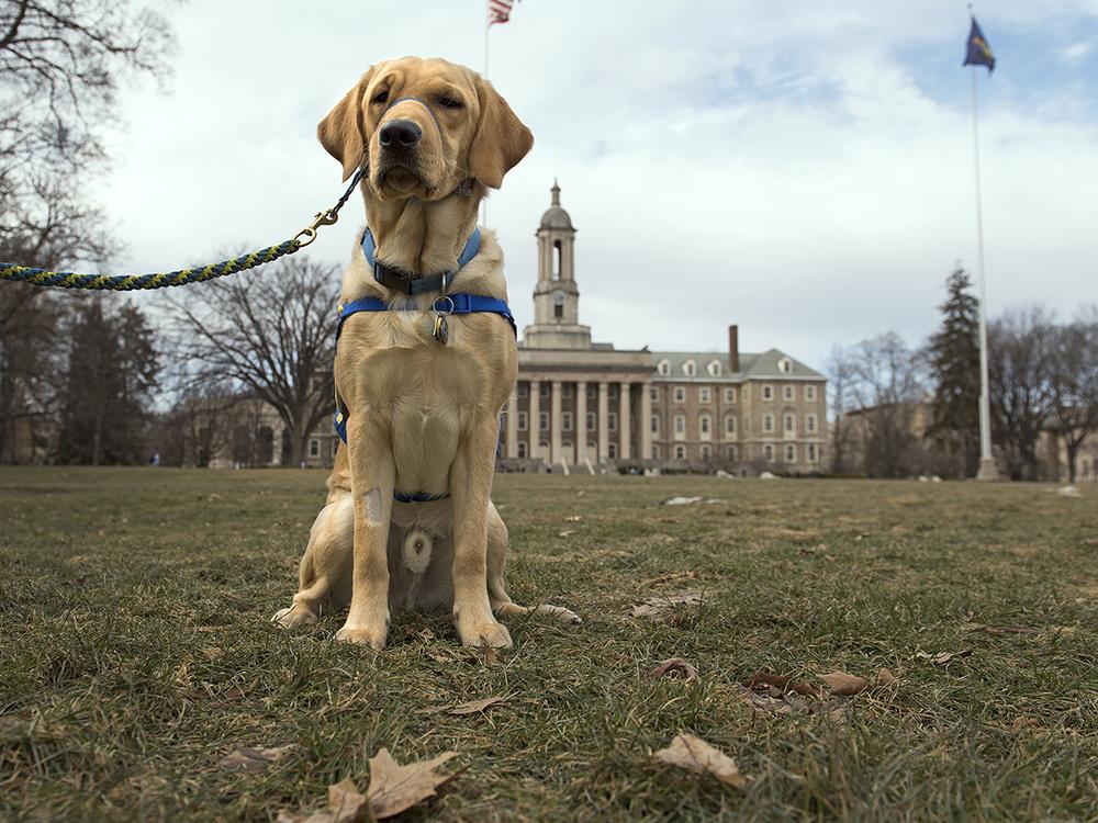 Bishop was the first of seven dogs trained by Nikki Cheshire and her family to spend some time at Penn State.