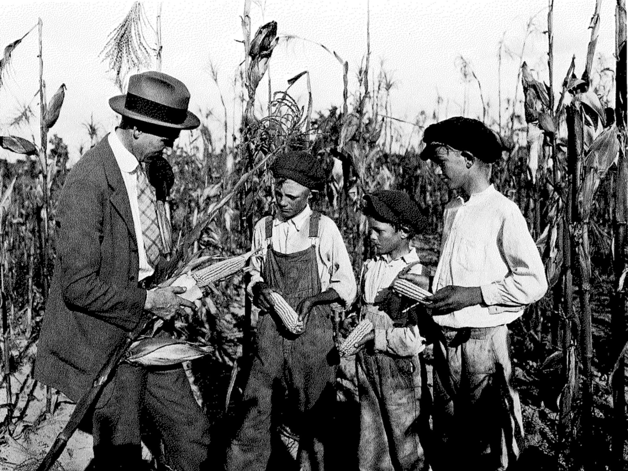 Boys Corn Club