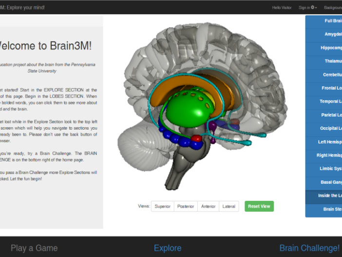 A screenshot of a virtual brain model on the Brain3M website. 