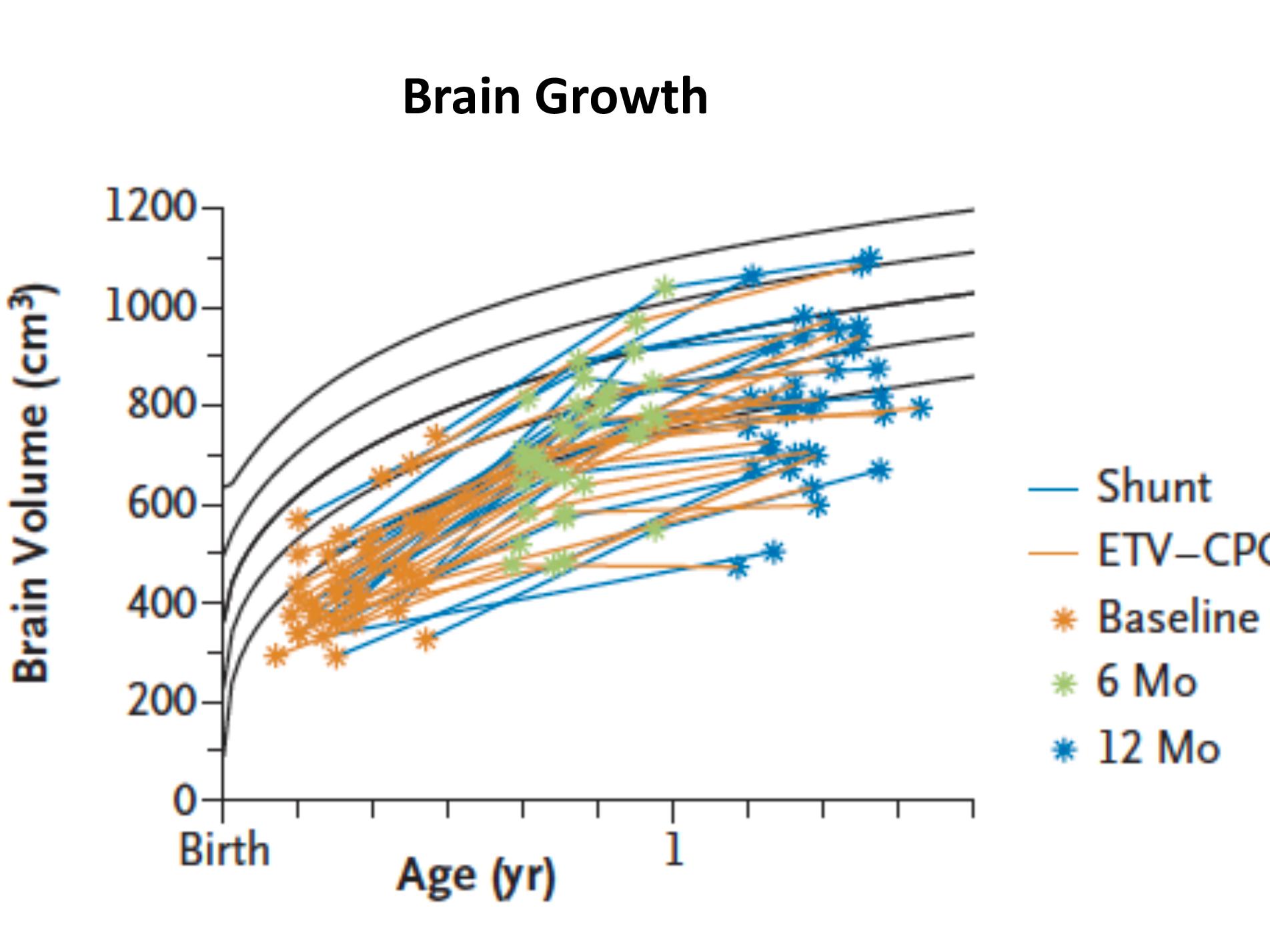 brain growth graph