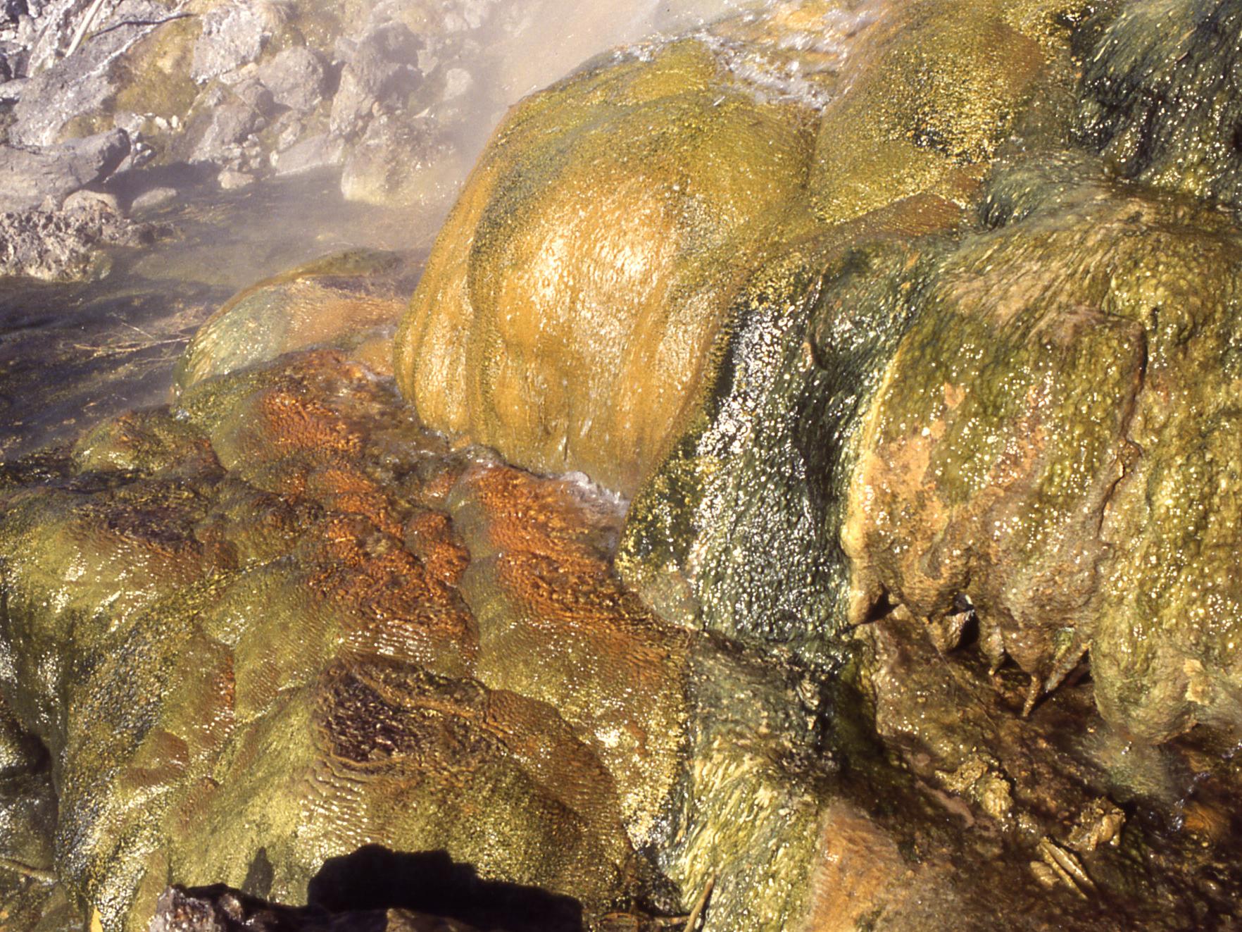 LaDuke Hot Spring