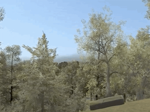 The virtual reality game allows the user to walk through the Critical Zone Observatory and interact with the surrounding ecosystem in dynamic ways.