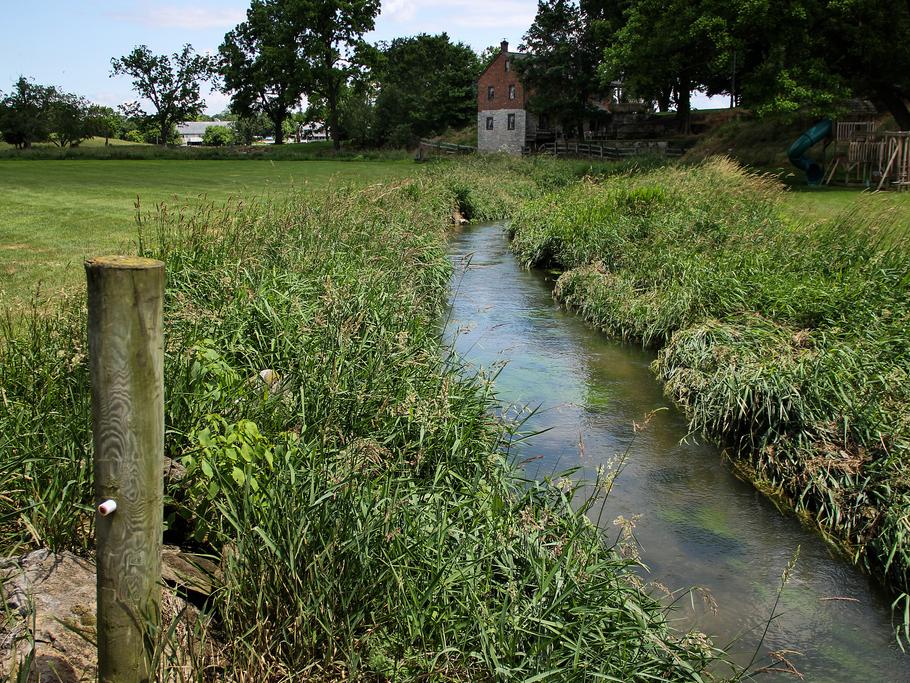 Buffered stream on farm in Lancaster County