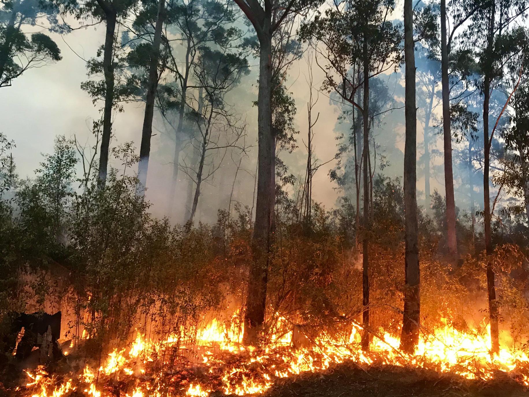 management fire