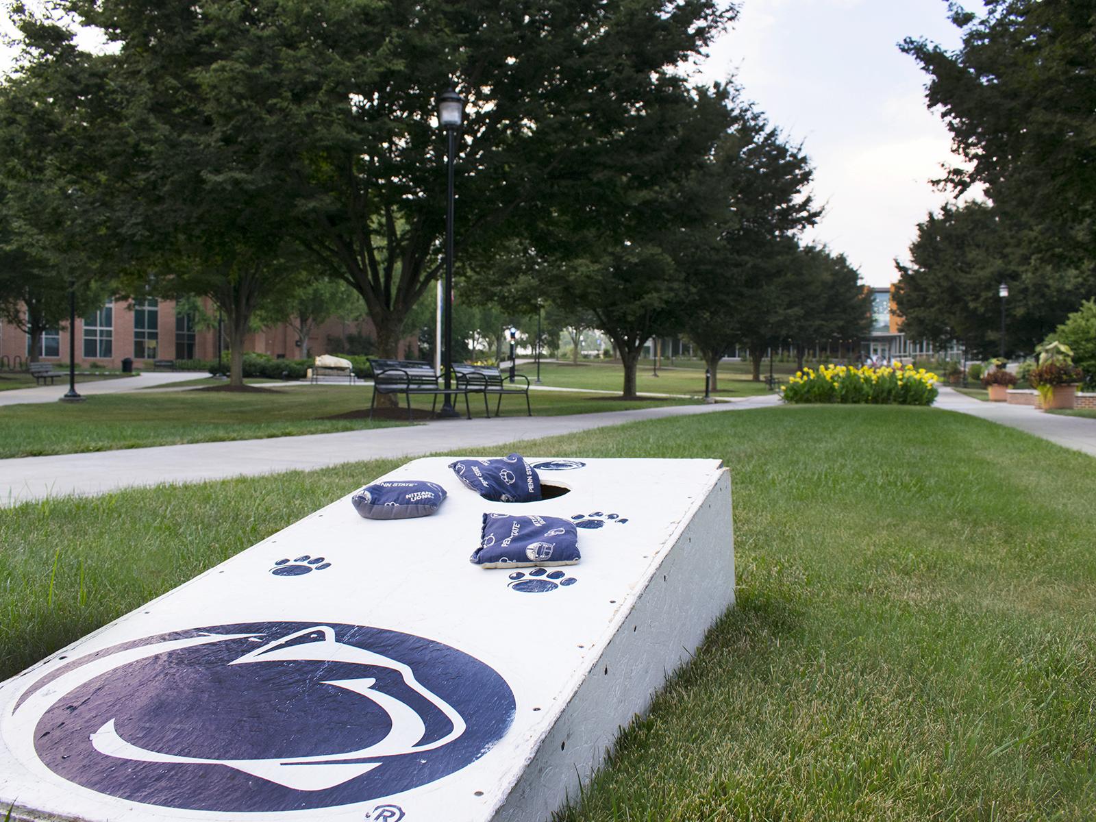 Cornhole board