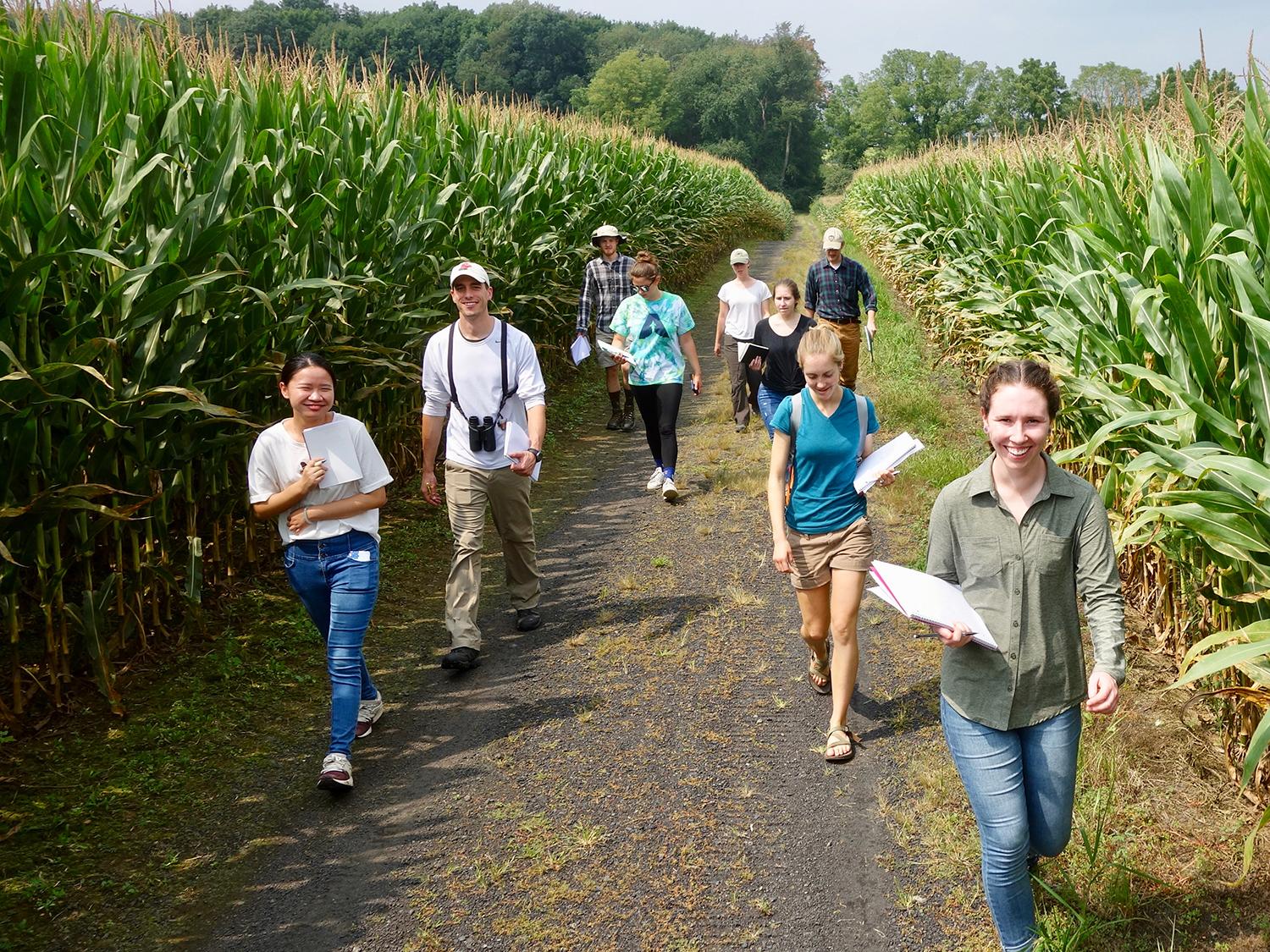 MG2V students walking a transect line through the pastoral landscape of the project area, north of Highway 45, last semester.