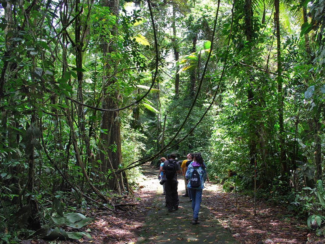 Penn State's CHANCE students trek through the Costa Rican jungle.