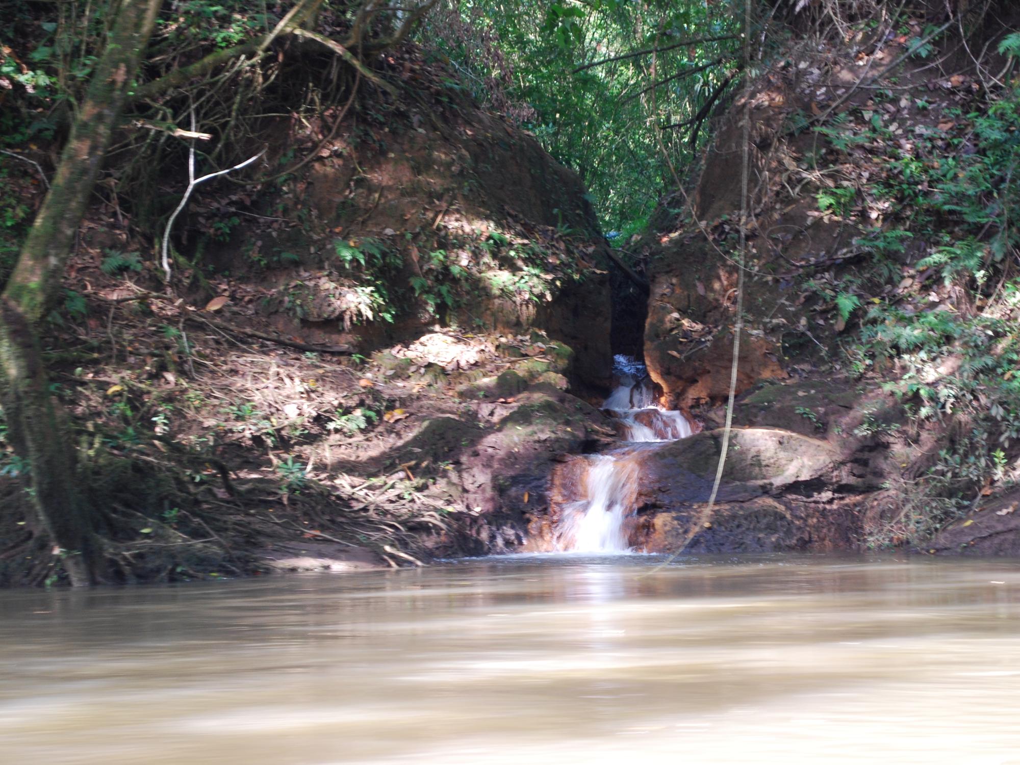 A small tributary feeds the Sarapiqui River.