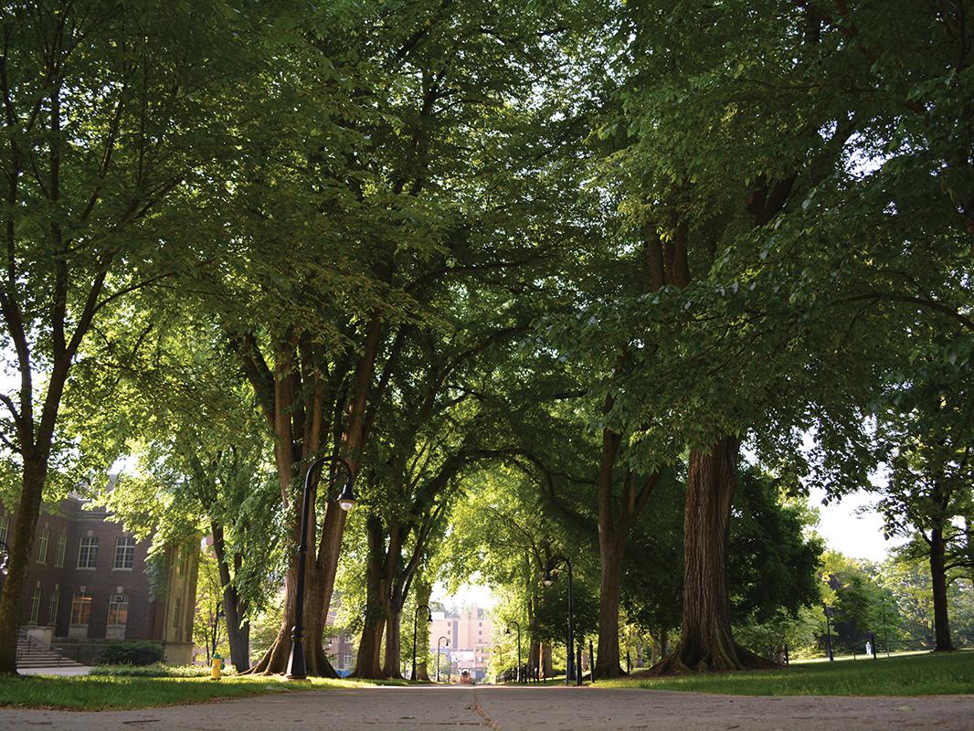 The elms at University Park
