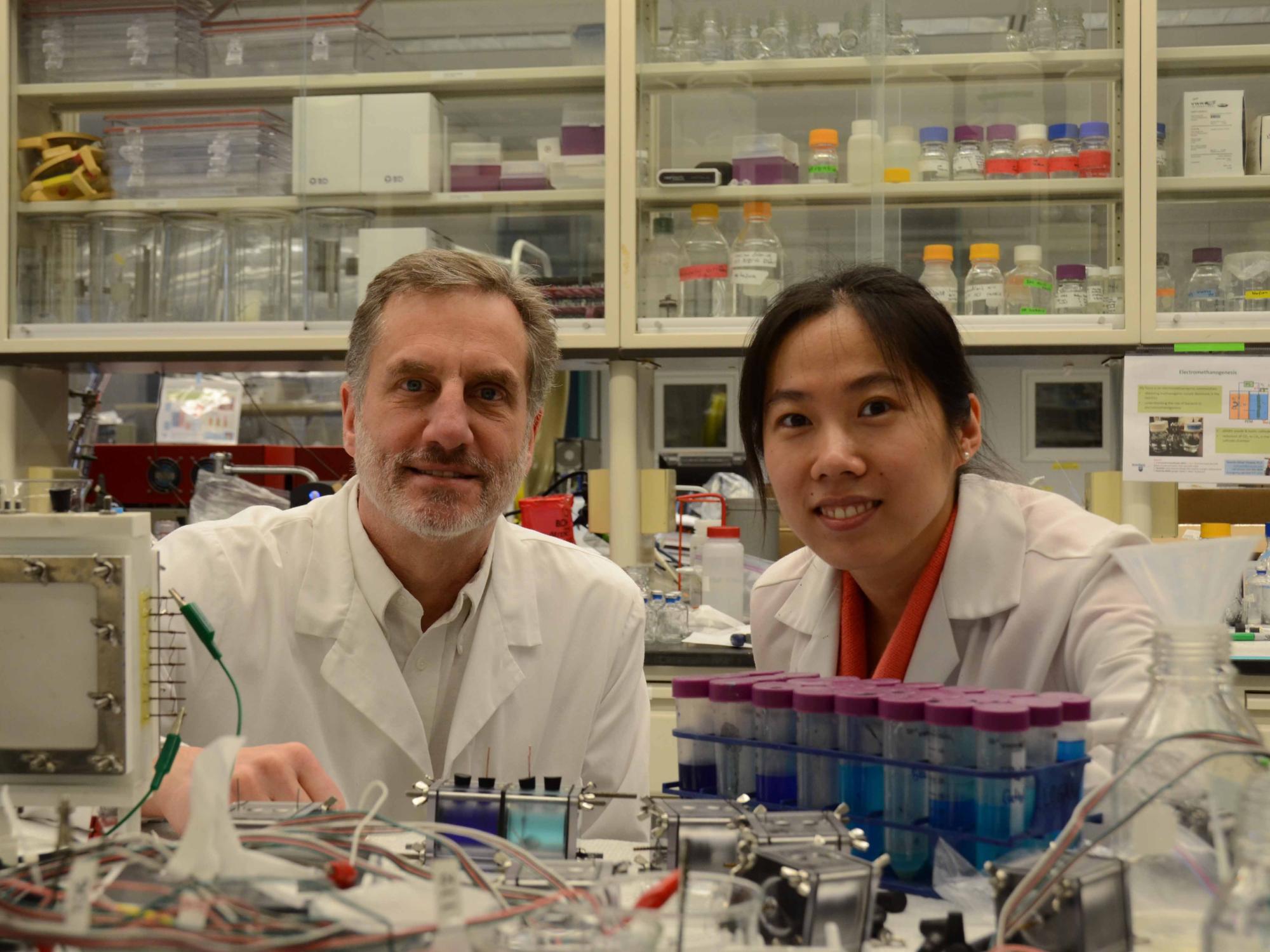 Bruce Logan, Fang Zhang, ammonia battery