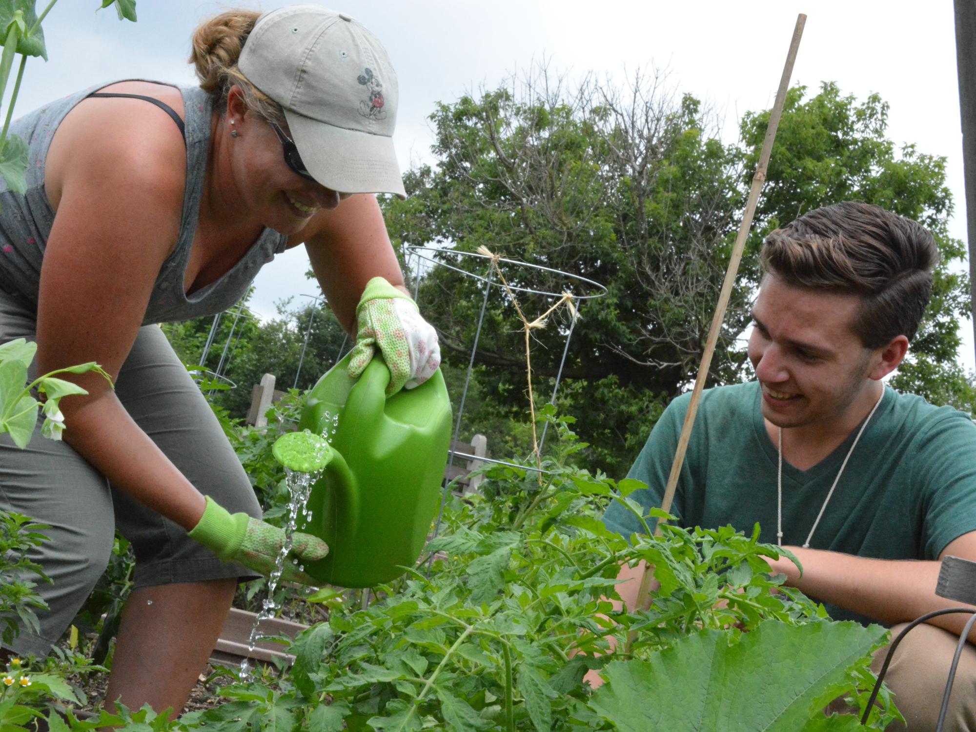 Staff and student gardeners