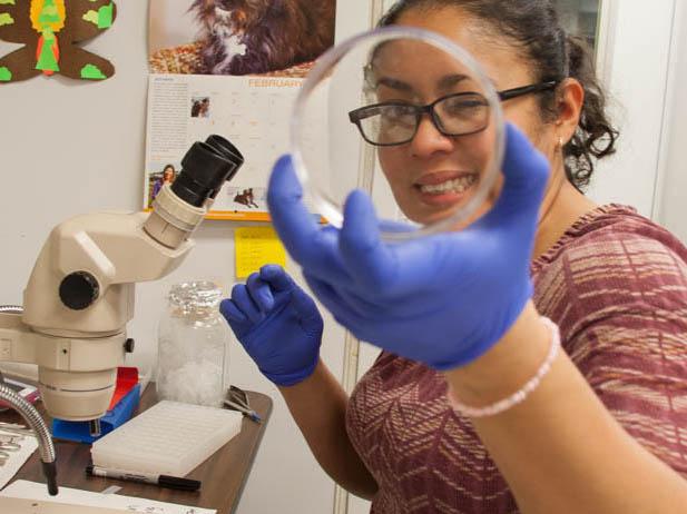 Rivera-Vega with petri dish