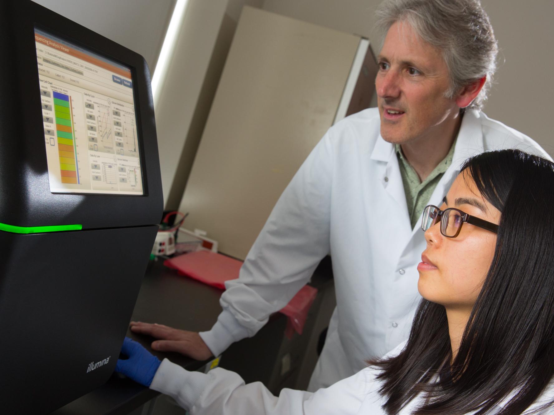 looking at genome sequence