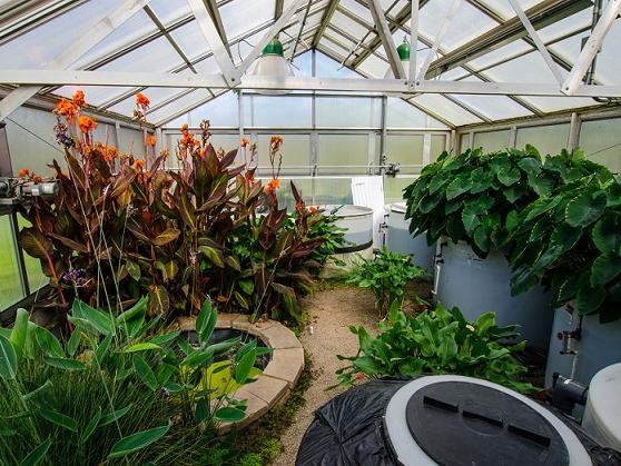 Penn State's Eco-Machine