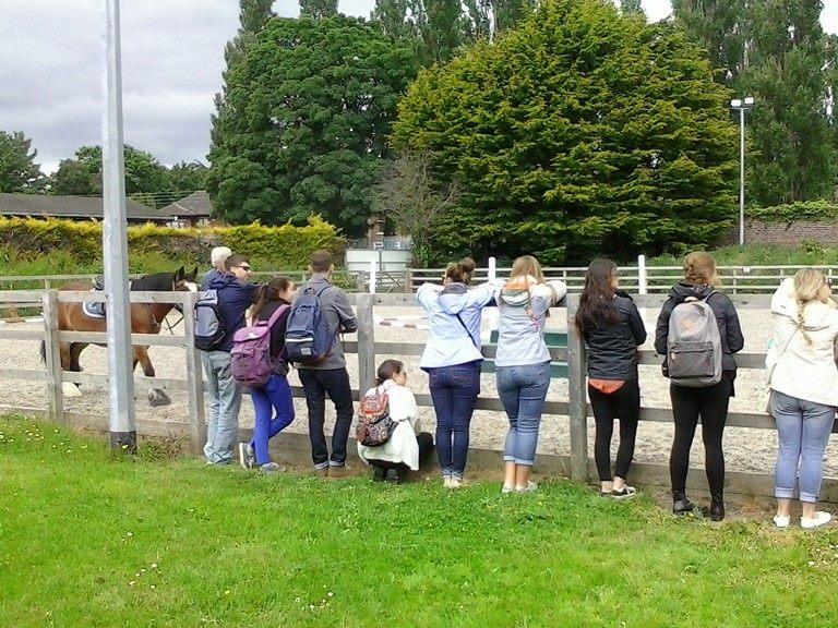 Students stand at a fence and observe horses used in equine therapy