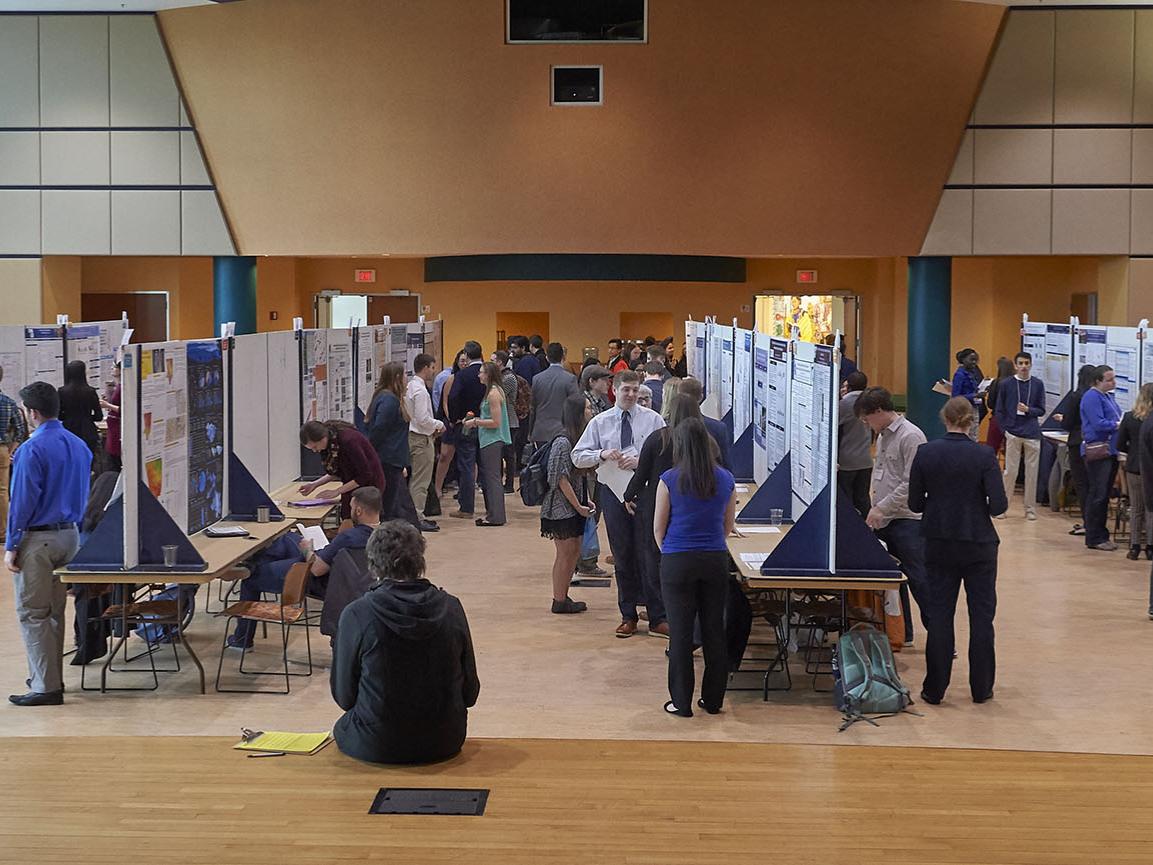Wide shot of exhibition hall