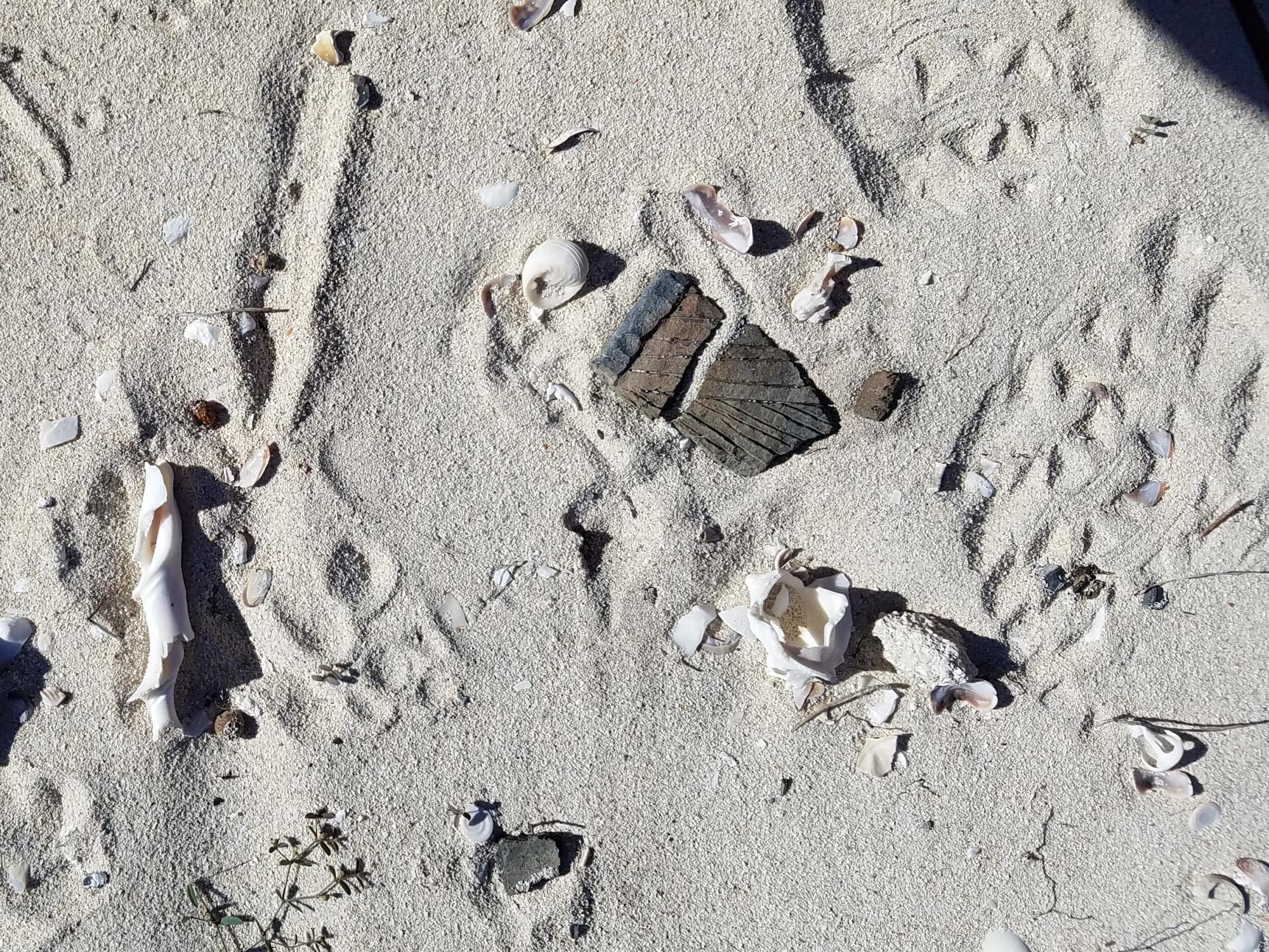 Sandy ground with a few shells and some broken pieces of ancient pottery