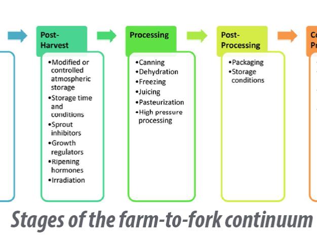 farm to fork continuum food graphic