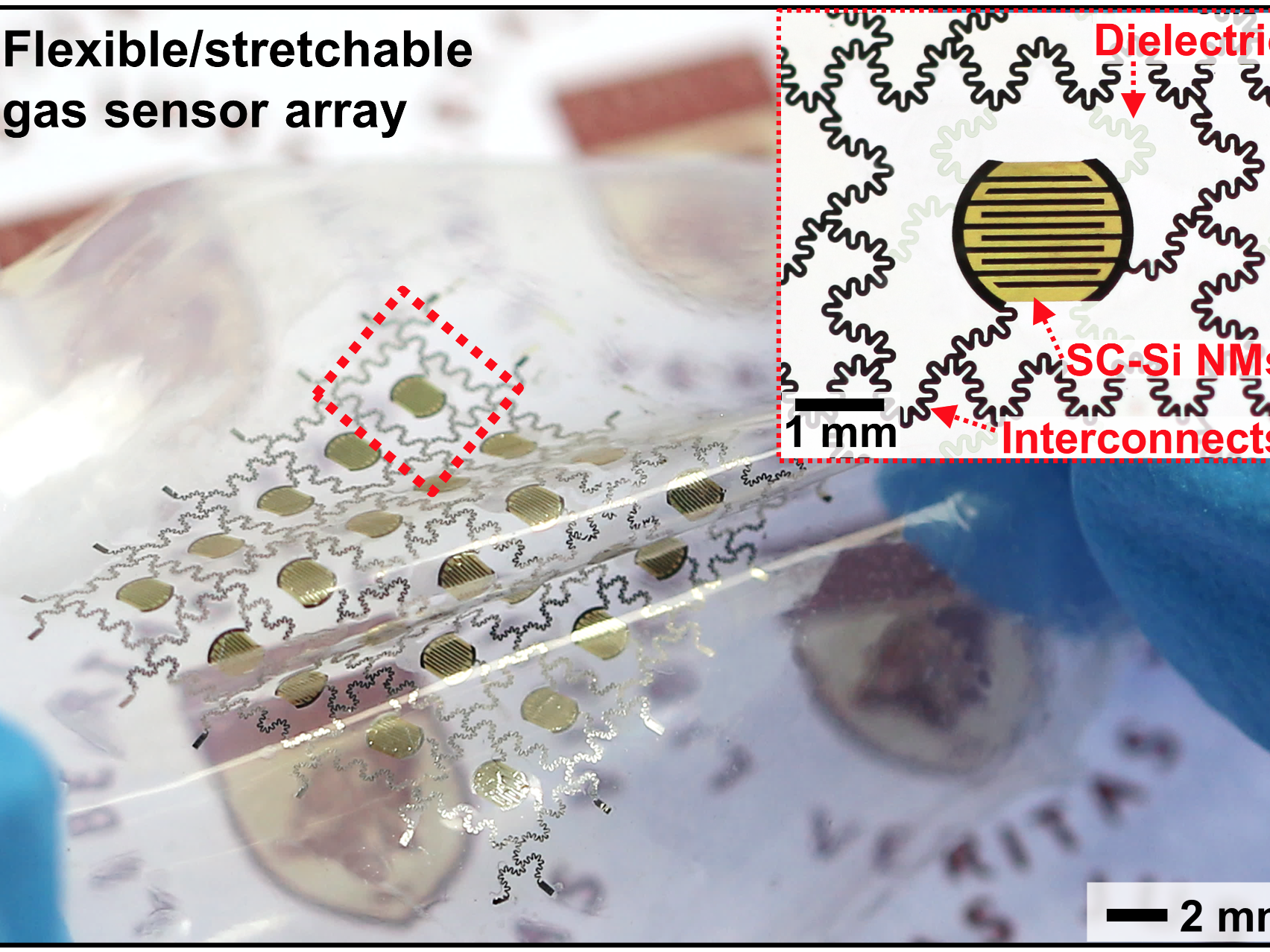 Implantable Biodegradeable Sensor 2