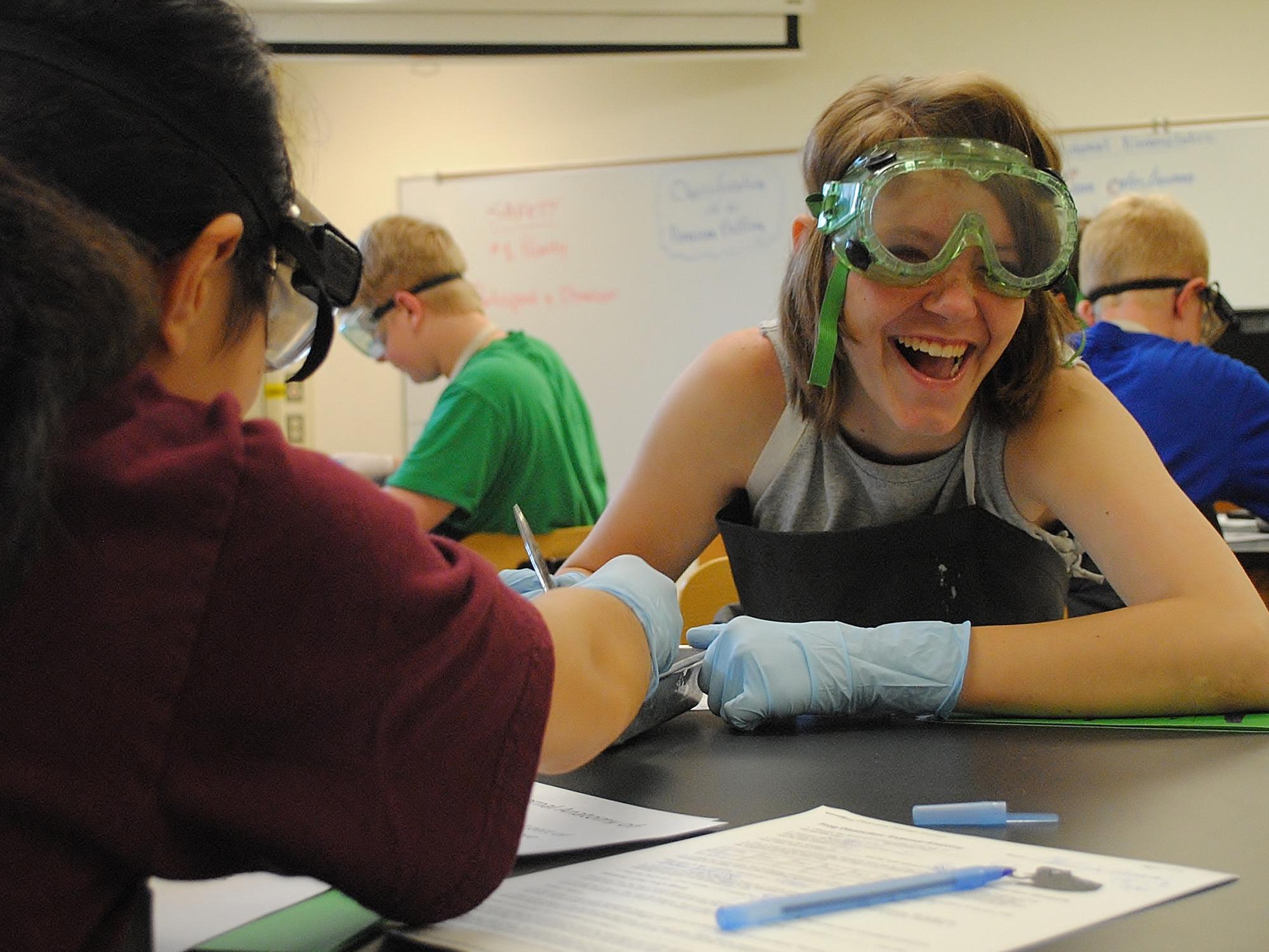 Students dissect a frog during Penn State Behrend's College for Kids program.
