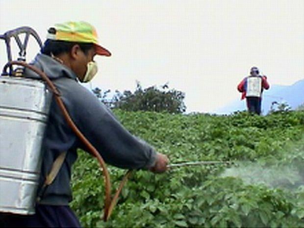 Produce field worker