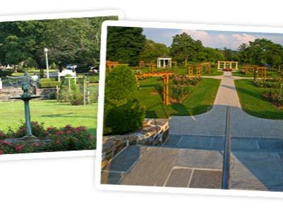 garden before and after renovation