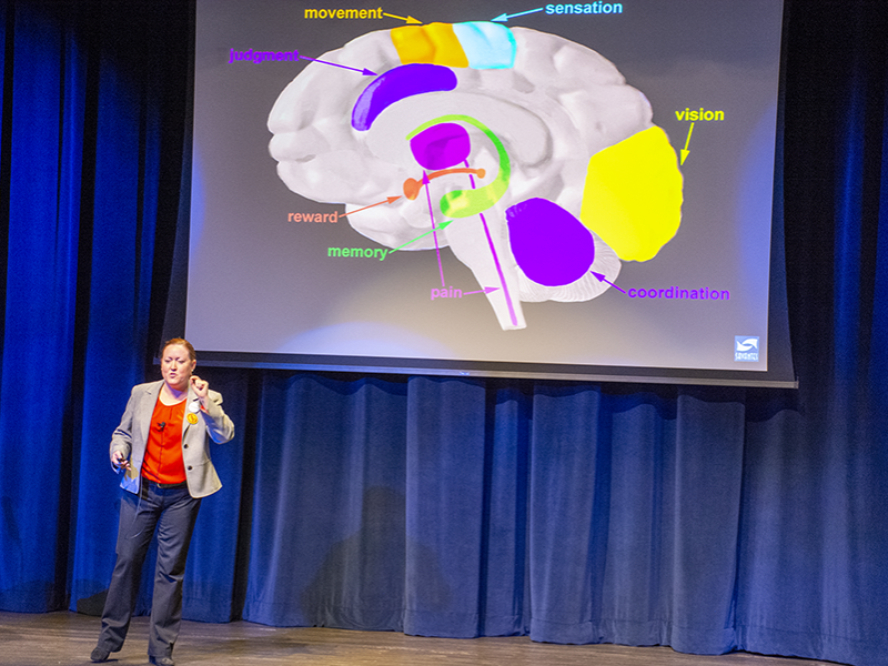 Dr. Gillian Beauchamp stands on stage in front of a projector slide identifying various areas of the brain triggered by addiction.