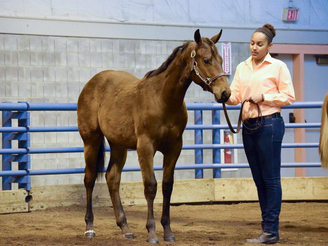 Student with horse