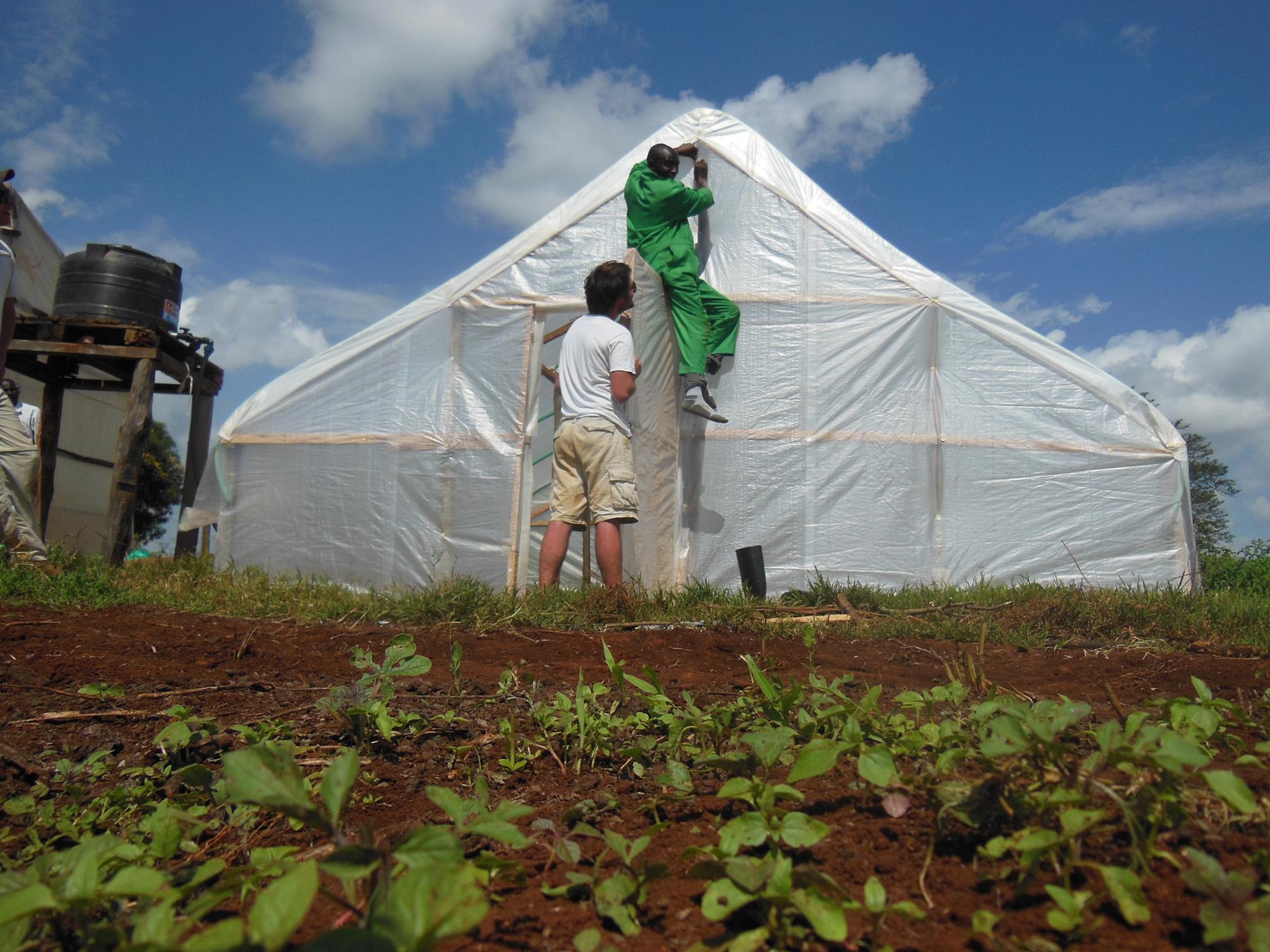 HESE greenhouses in Kenya