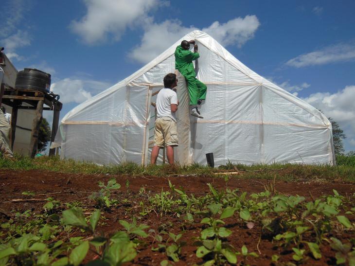 Greenhouses in West Africa