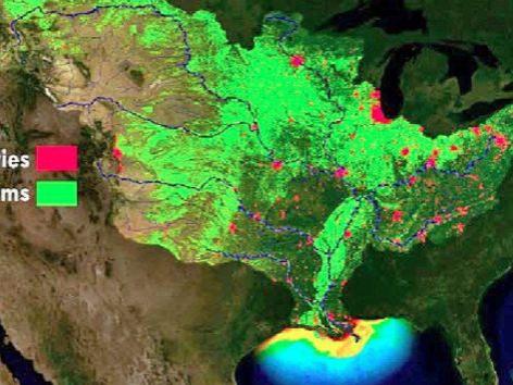 Gulf dead zone