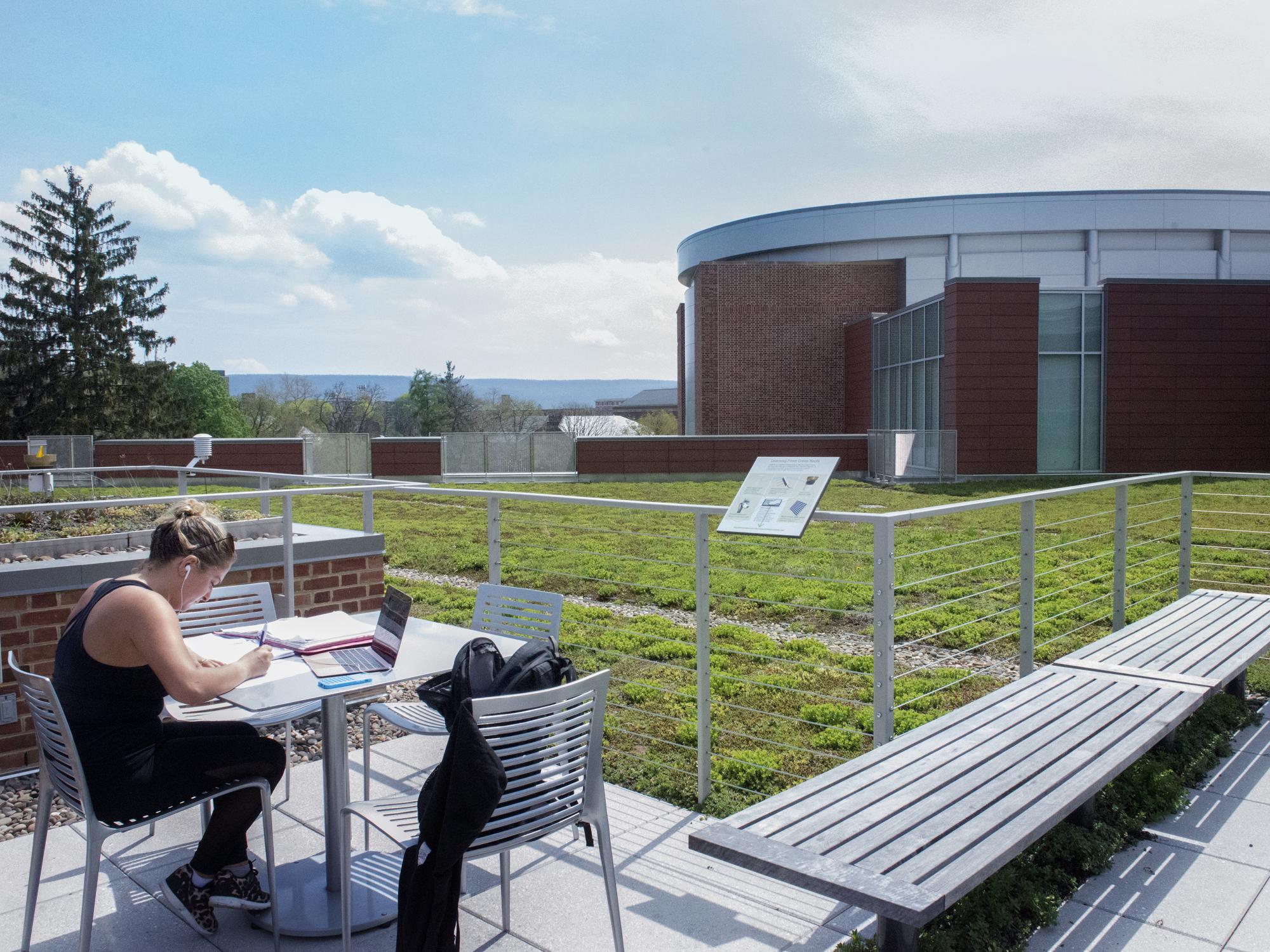 student studying on HUB Green Roof