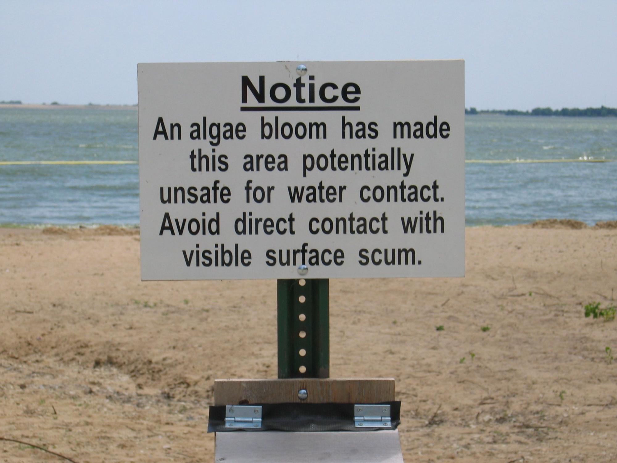 Harmful algal bloom sign