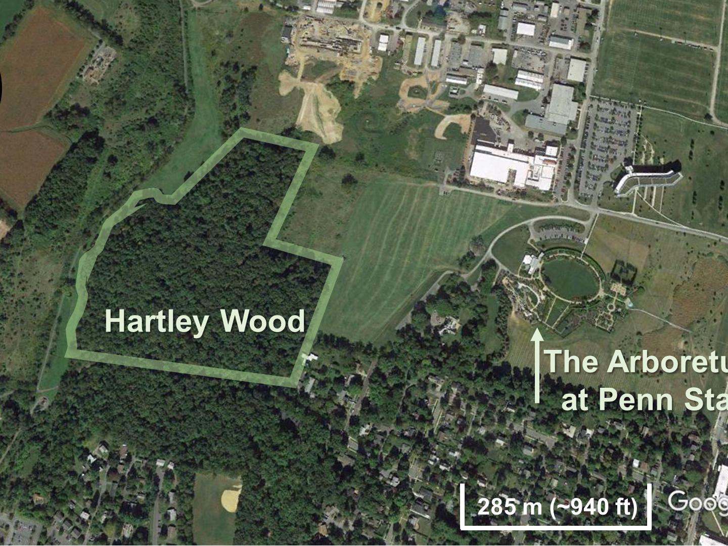 shows Hartley Wood