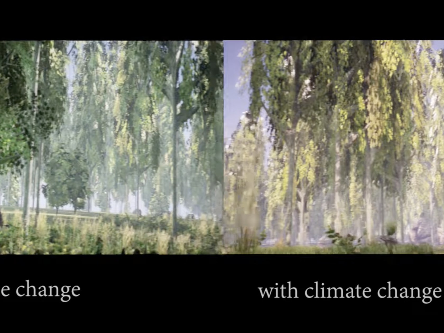 In Visualizing Forest Futures, a user is able to visit a forest simulation under current conditions as well as a possible future under climate change.