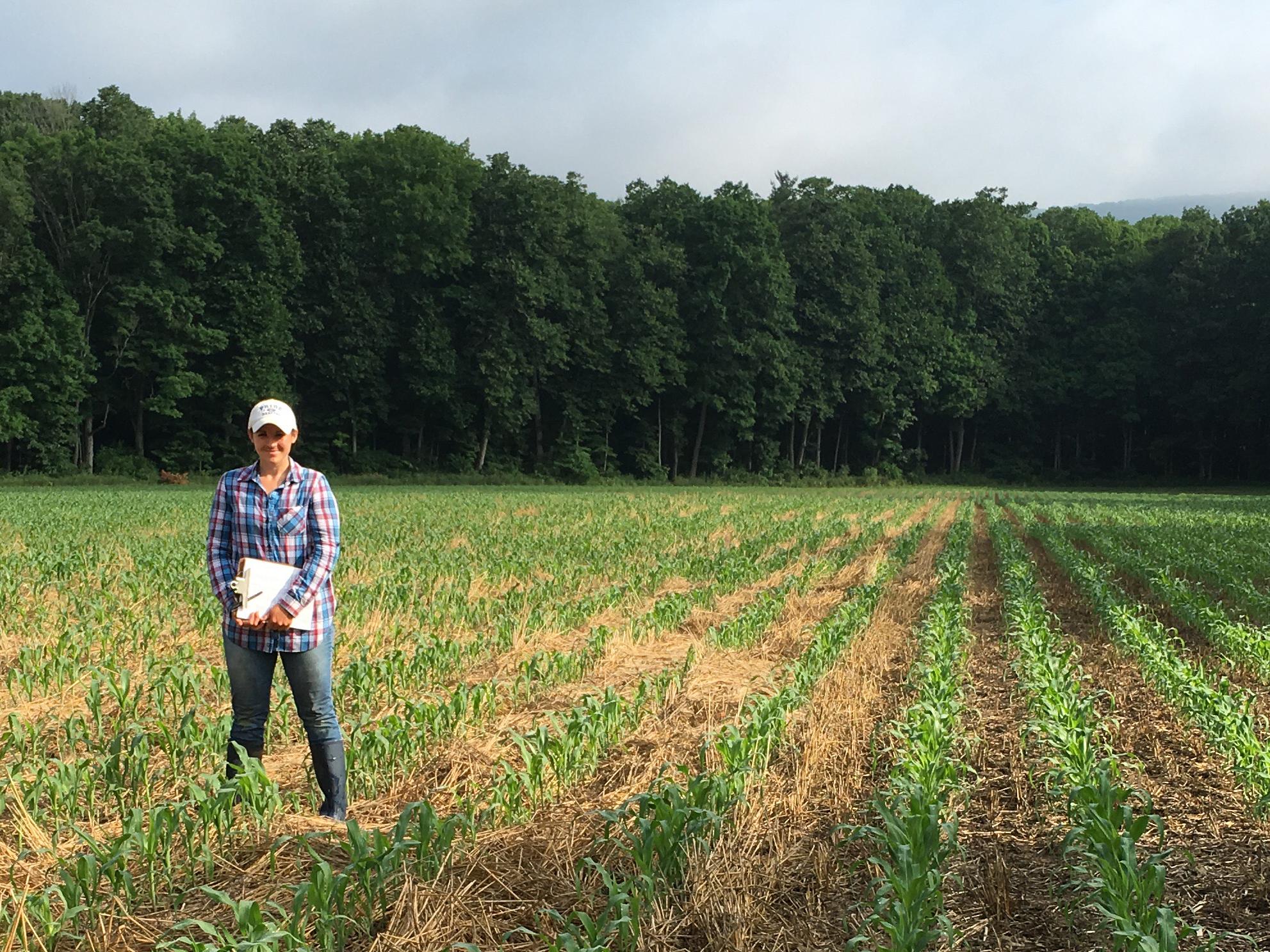Heidi Reed in corn