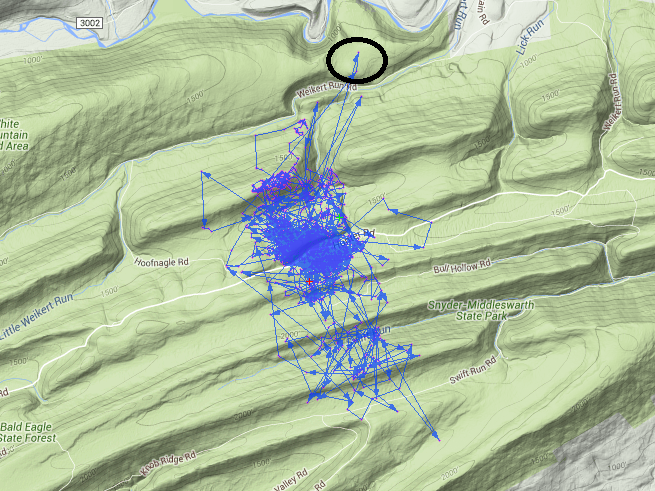 A map shows data points for a deer's location 