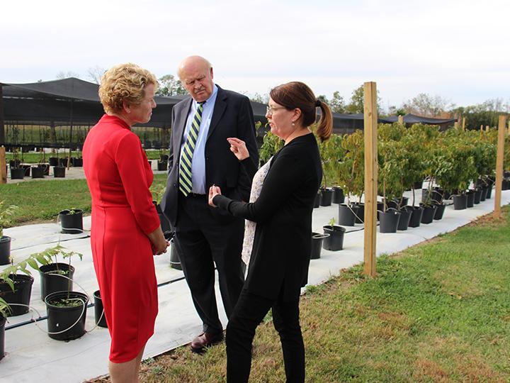 Houlahan learns more about the lanternfly at Berks.