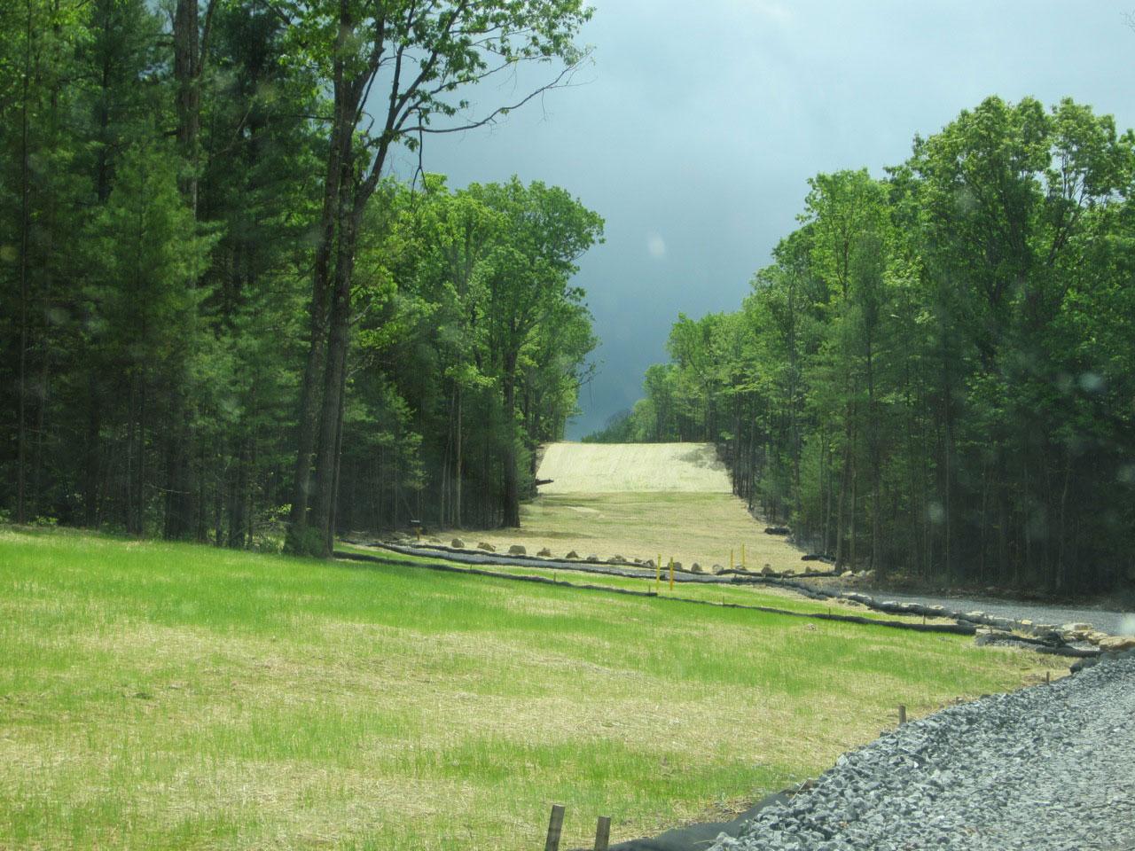 Natural gas pipeline and gas access road through previously contiguous forest.