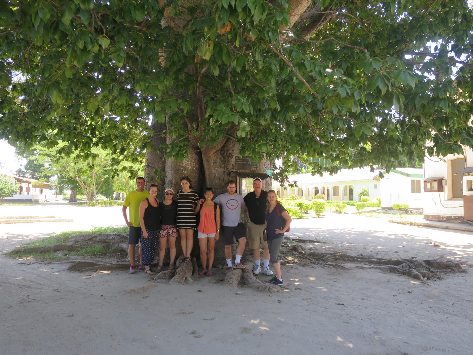 Engineering Leadership Development minor students and faculty stand under baobab tree