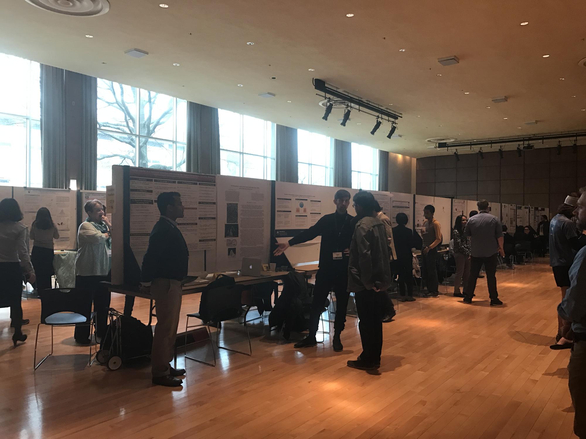 Graduate Exhibition Research Poster Option
