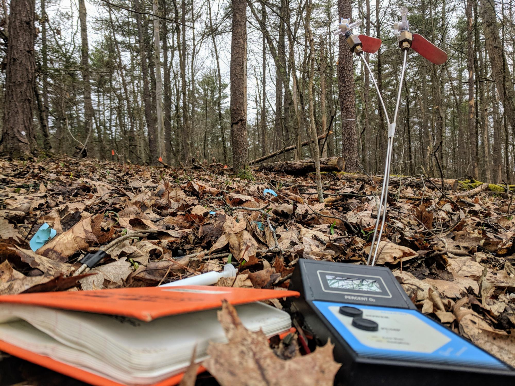 A field journal and oxygen meter on a leaf-covered forest floo