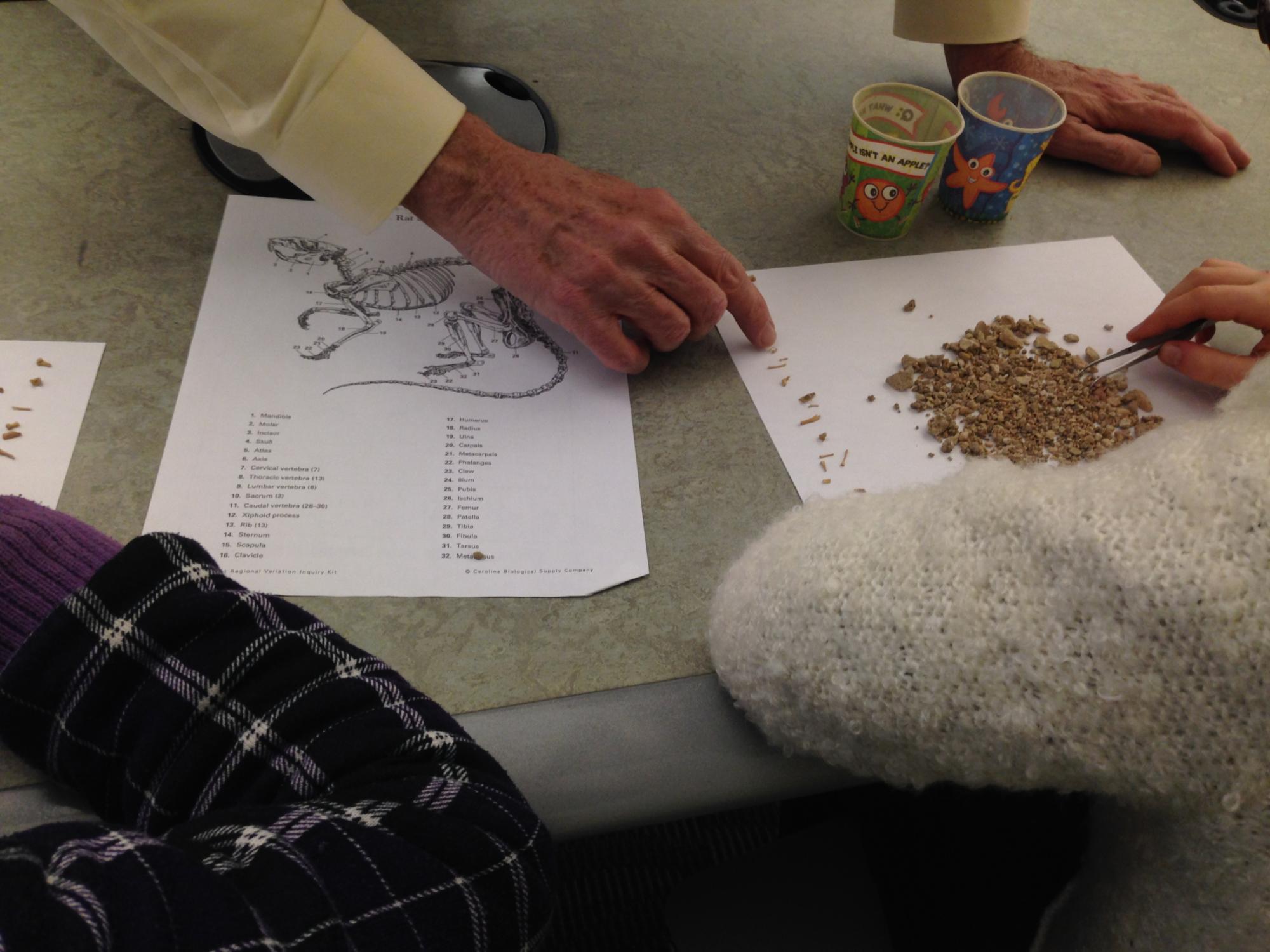 Russell Graham points to several small fossils a fifth grade student has lined up on a piece of paper