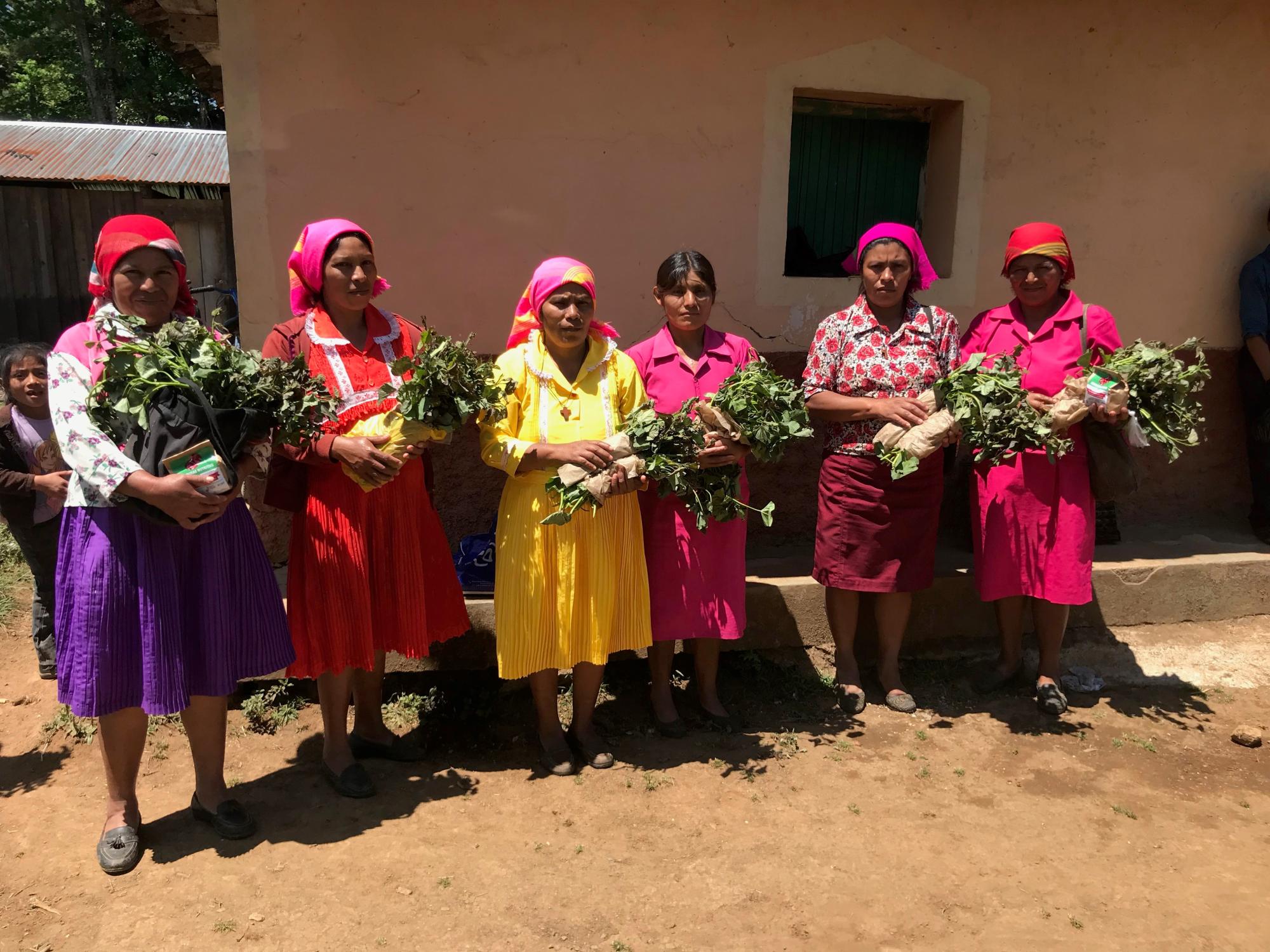 Farmer Field School graduates