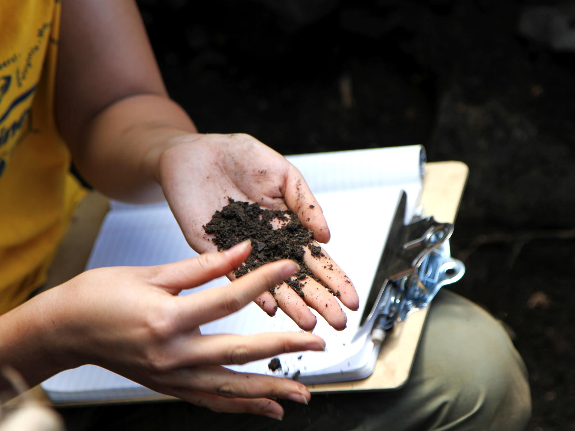 A student examines soil from the dig site